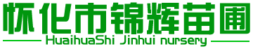 懷化市錦輝苗圃_精品盆景,造型景觀(guān)樹(shù)樁,綠化苗木,室內(nèi)盆花,綠化工程,園林設(shè)計(jì)