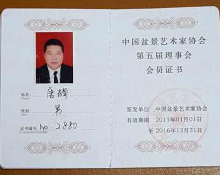 懷化市錦輝苗圃,精品盆景,造型景觀樹樁,綠化苗木,室內(nèi)盆花,綠化工程,園林設(shè)計(jì)